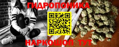 шишки Гусев