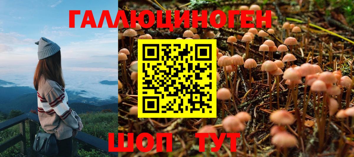 Галлюциногенные грибы Magic Shrooms Нефтекамск