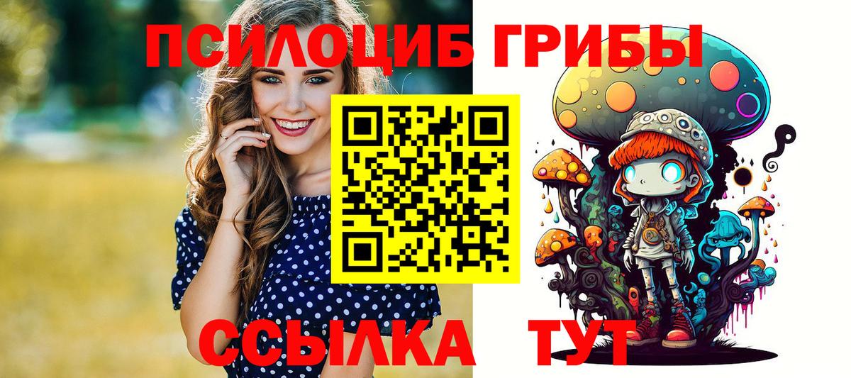 сколько стоит  Нефтекамск  Галлюциногенные грибы прущие грибы 