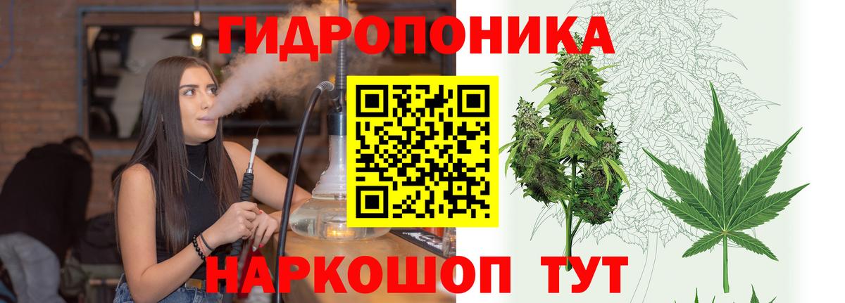 Нефтекамск  Каннабис Ganja  Бошки Шишки семена  Конопля ГИДРОПОН  Вход с VPN  Марихуана гибрид 